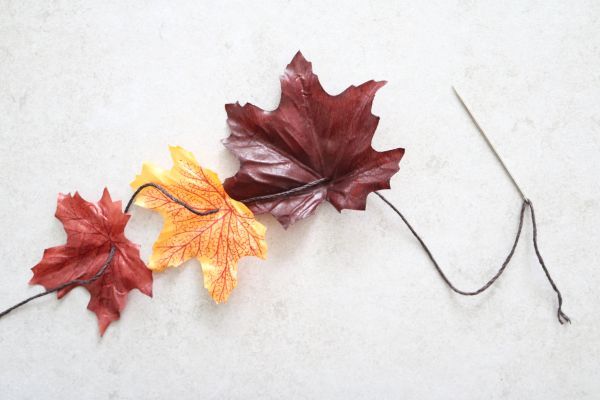 Varias hojas en un cordón. 