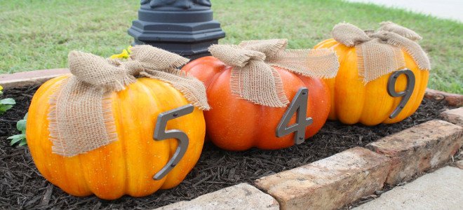 Una hilera de calabazas con números de casa. 