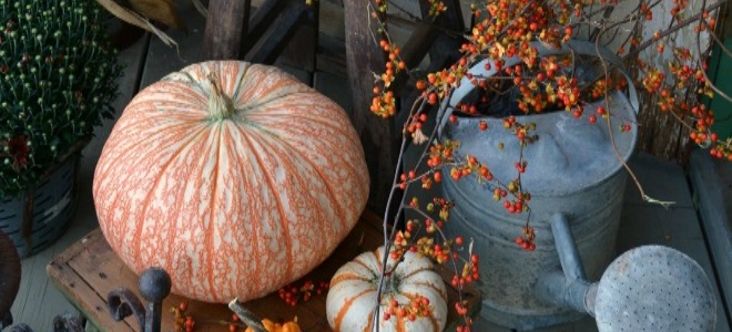 5 decoraciones de porche delantero para otoño