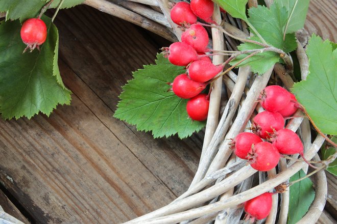 Una corona con ramas y bayas.
