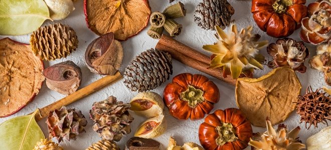 ingredientes de popurrí