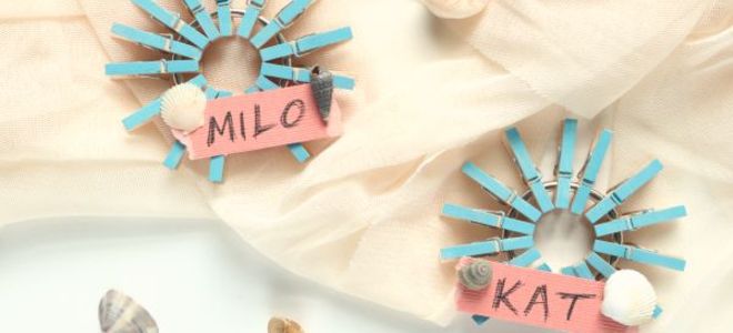 Tarjeta de lugar de pinza de ropa de verano DIY