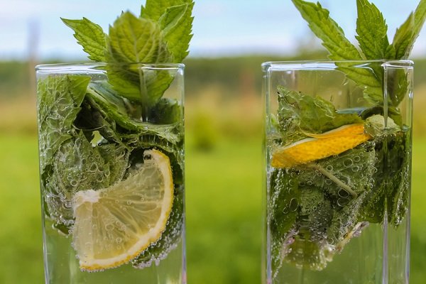 como mojitos