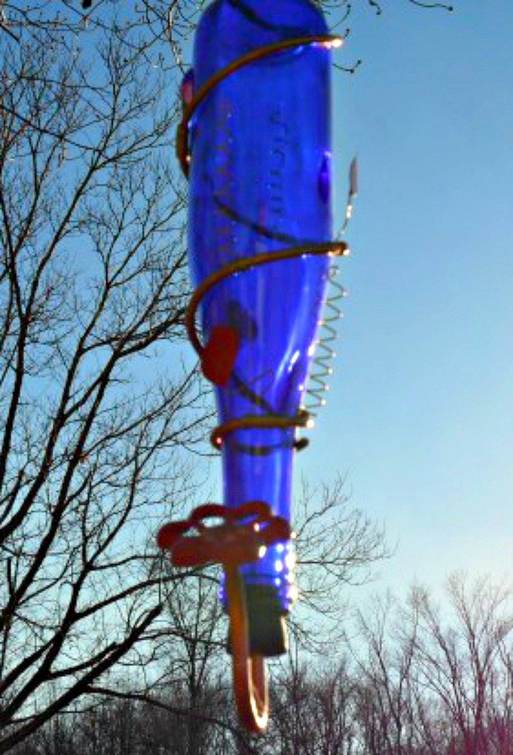 Haga sus propios comederos para pájaros