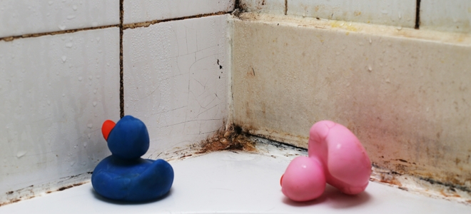 3 consejos para prevenir el moho en su baño