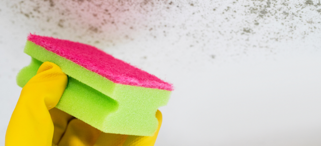 Cómo prevenir y eliminar el moho de la lavandería