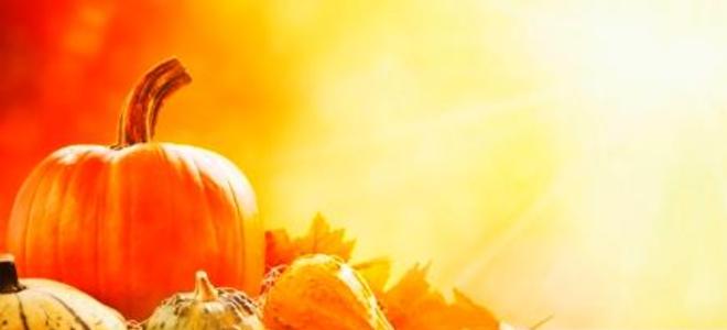 4 mejores postres de Acción de Gracias |  LaNetaNeta.com