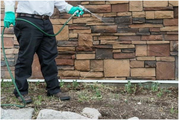 rociar el hogar con químicos para el control de plagas