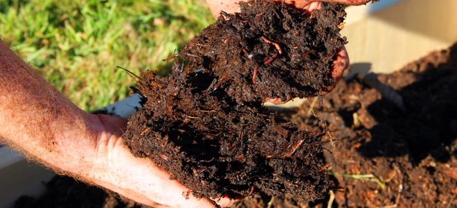 5 consejos rápidos y sencillos para la eliminación de residuos de alimentos