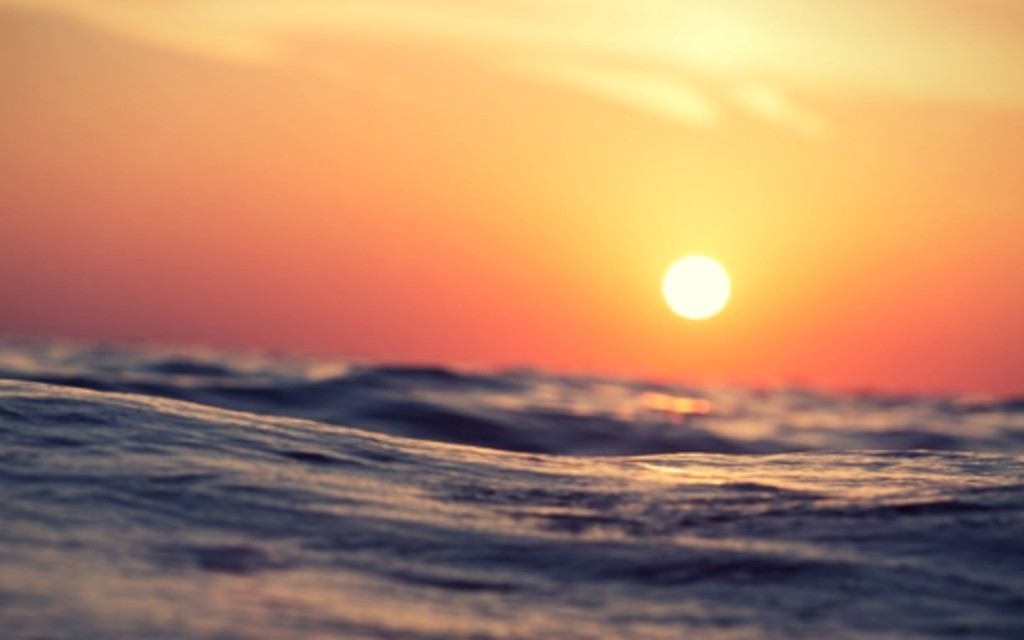 Al menos 140 migrantes mueren tras hundimiento de una embarcación; el naufragio más mortífero de 2020: OIM