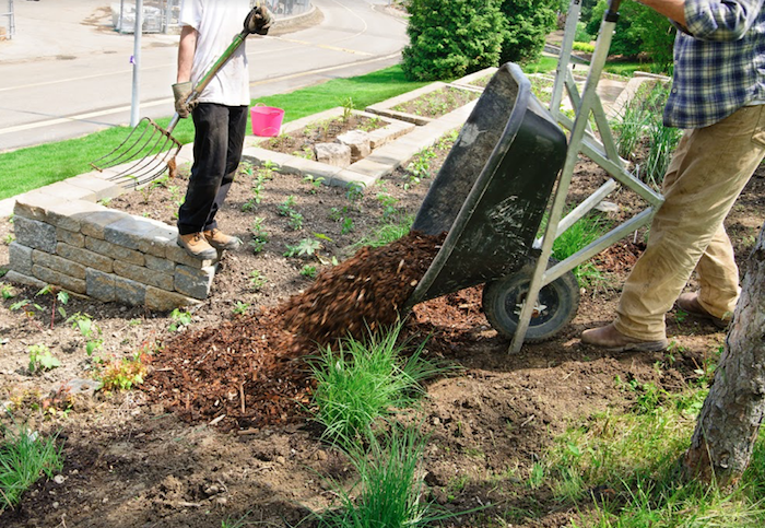 Mantillo en un jardín.