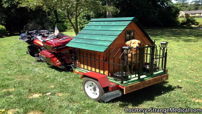 remolque con caseta para perro remolcado por una motocicleta Harley