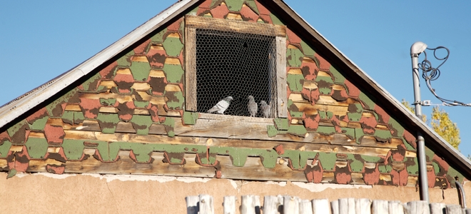 Cómo deshacerse de los pájaros en el ático