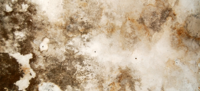 Cómo deshacerse del moho debajo del fregadero