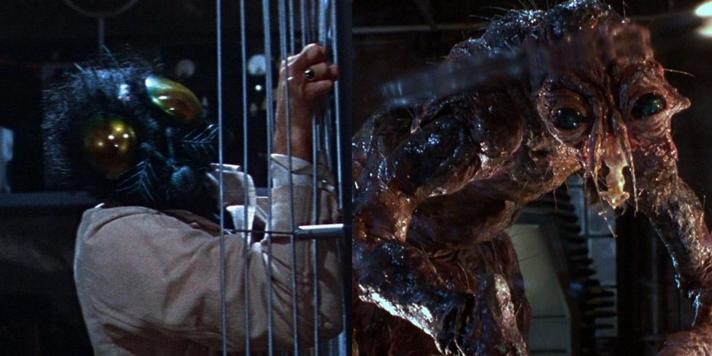 Cómo el remake de The Fly de Cronenberg mejoró en la película original