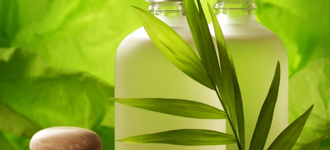 Cómo hacer champú orgánico desde cero