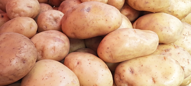 Cómo hacer un experimento de ósmosis para un proyecto científico para niños