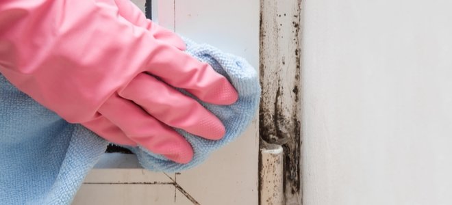 Limpiar el moho alrededor de una ventana