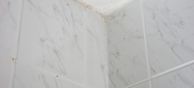 Cómo limpiar el moho del techo de un baño