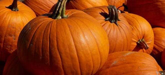 Consejos y trucos para tallar calabazas