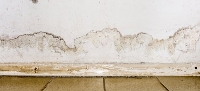 mancha de agua en el techo blanco