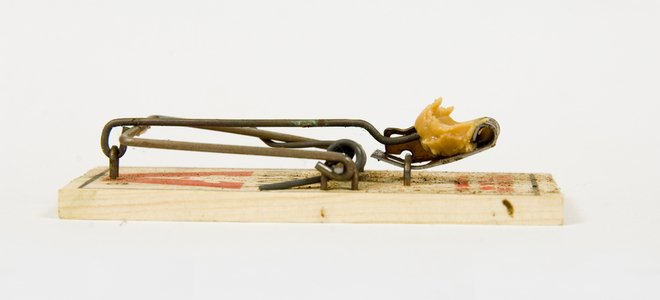 trampa para ratones con mantequilla de maní