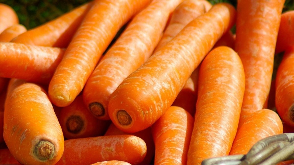 Esta es la mejor mascarilla casera para eliminar las estrías