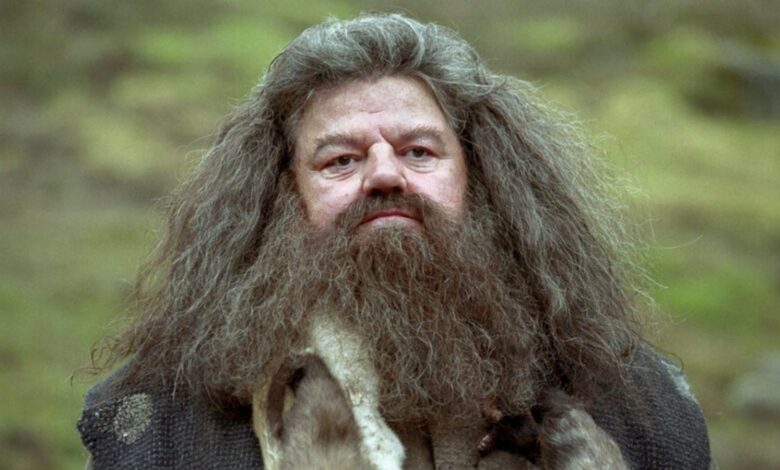 Harry Potter: los 5 mejores rasgos de Hagrid (y los 5 peores) | ScreenRant