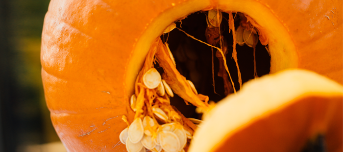 Una calabaza cortada abierta.