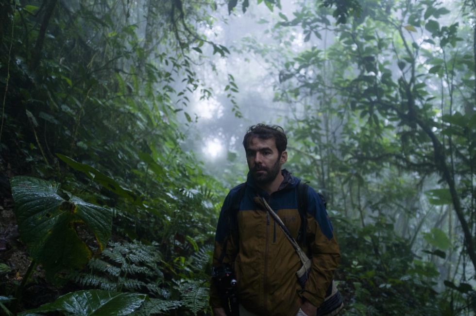 El camino a ninguna parte del puente abandonado en la selva amazónica
