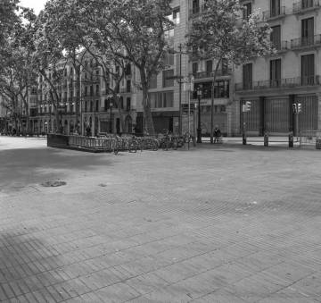 Libros desconcertantes para un otoño artístico