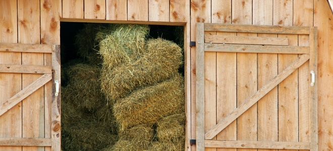 2 planos de establos para caballos