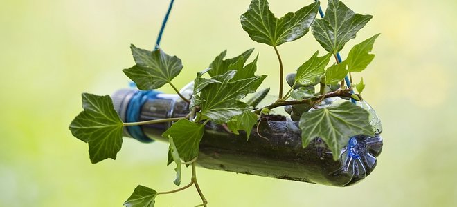 sembradora de botellas de plástico reciclado