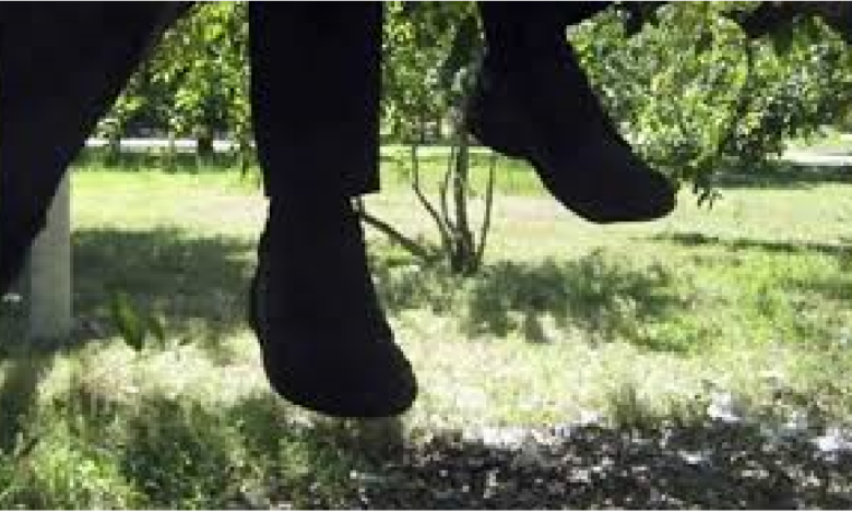 Se suicida un joven en Querétaro, se ahorcó colgándose de un árbol