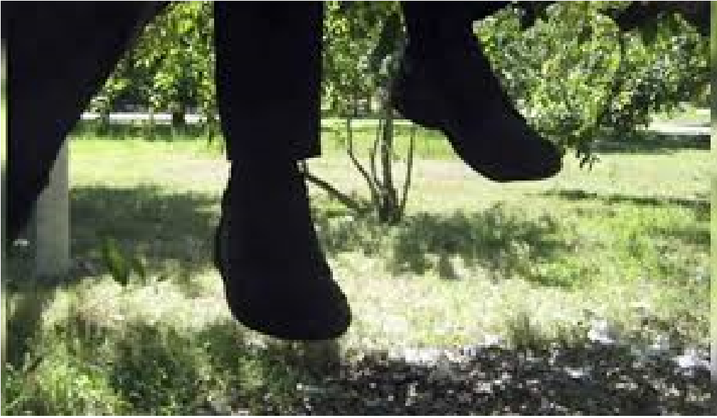 Se suicida un joven en Querétaro, se ahorcó colgándose de un árbol