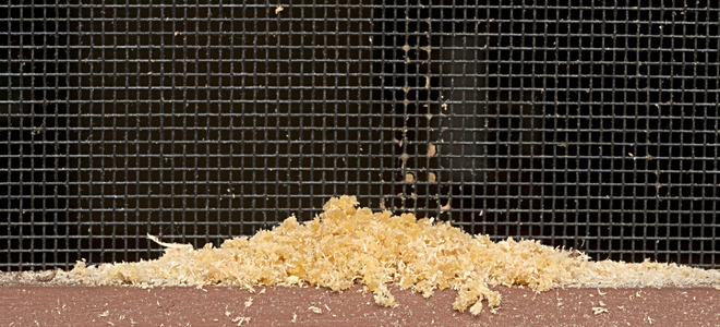 Un montón de aserrín cerca de una pared.