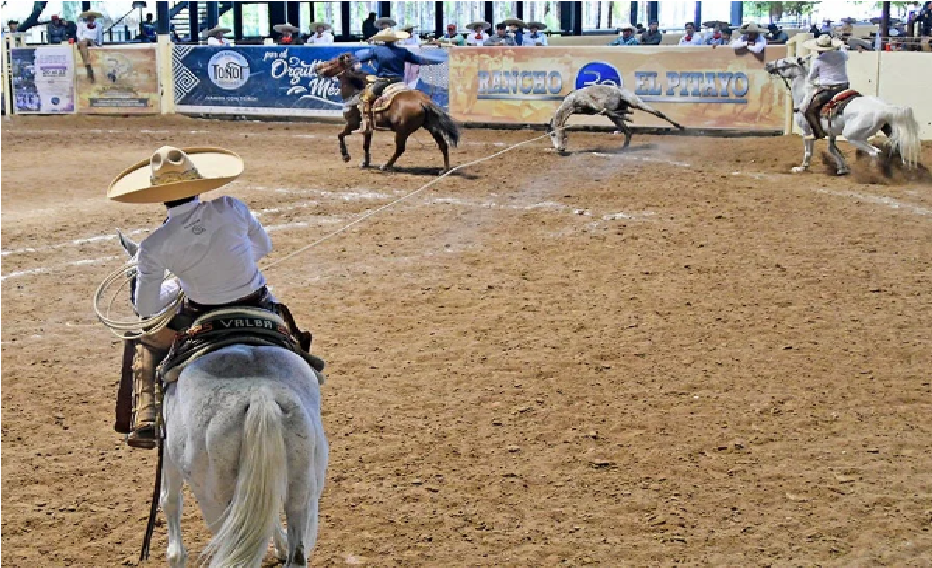 Sergio Valenzuela, orgullo de San Juan del Río, se convierte en Campeón Estatal de Charro Completo