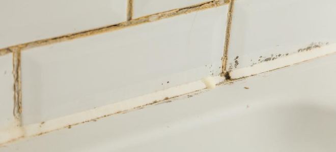 Solución quitamanchas de moho fácil