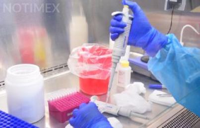 Casos adicionales de COVID-19 bajan de 40 en Corea del Sur