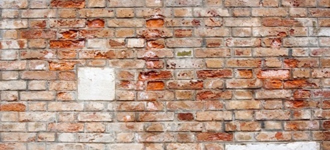 ¿Cómo limpio el moho del ladrillo?