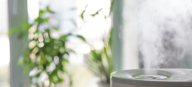 ¿Todos los humidificadores son iguales?