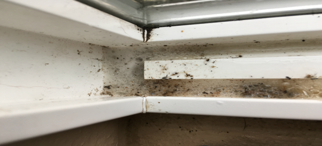 Cómo limpiar marcos de ventanas y corredores en 4 pasos