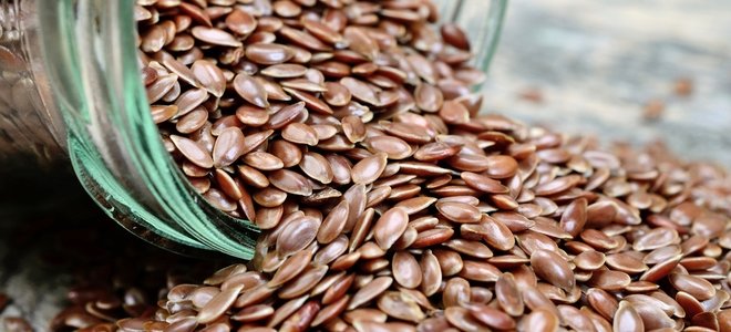 semillas de lino