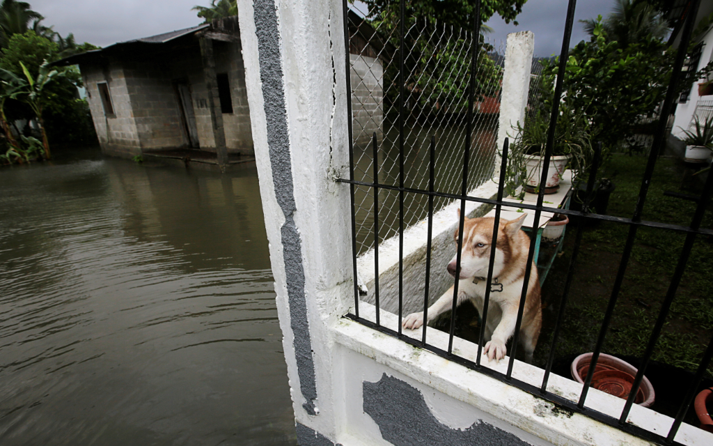 Eta deja al menos 70 muertos a su paso por Centroamérica; 50 de ellos en Guatemala