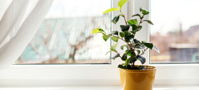 7 consejos definitivos para la limpieza de ventanas