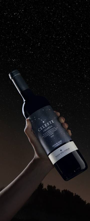 Una ruta celestial por tierra de vinos