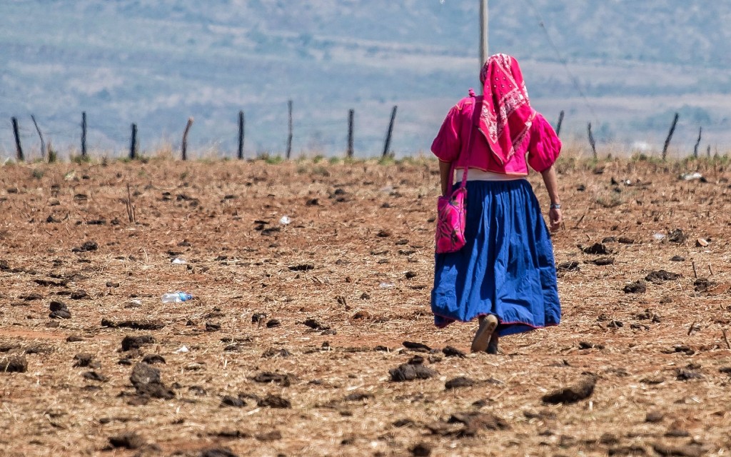 Reyes de España ya pidieron en 1990 perdón a indígenas mexicanos por la Conquista