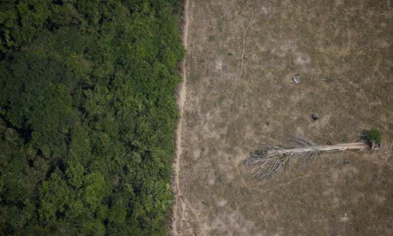 Uno de cada cinco países corre el riesgo de que sus ecosistemas colapsen