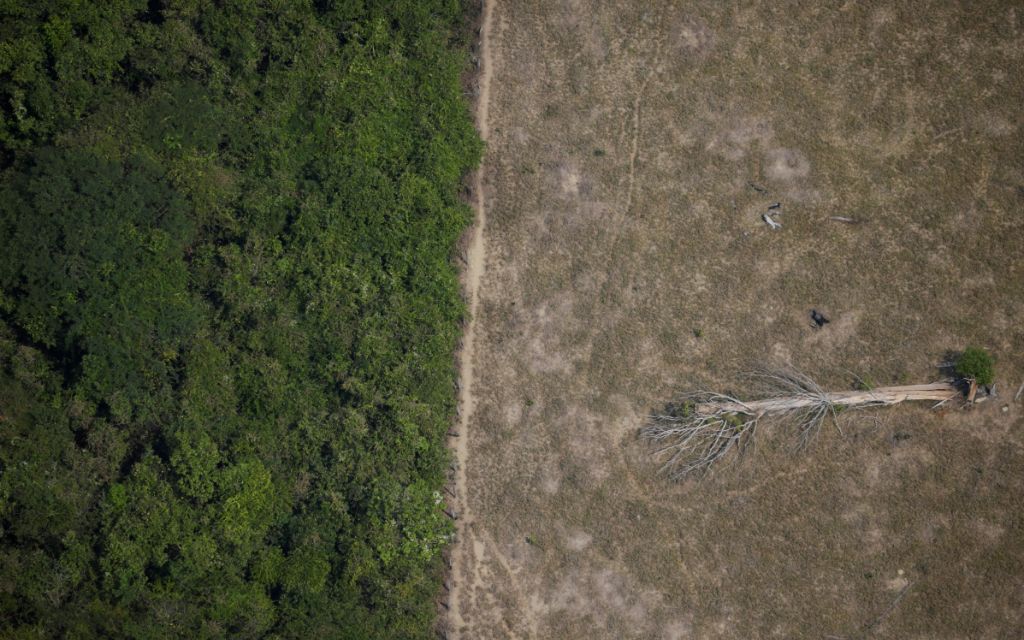 Uno de cada cinco países corre el riesgo de que sus ecosistemas colapsen