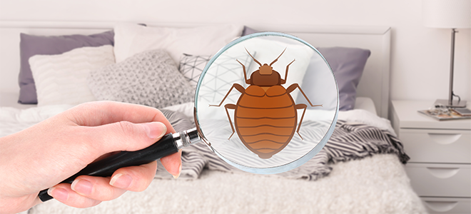 Una ilustración de un ácaro del polvo en una cama.